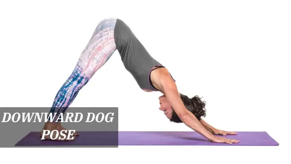 Downward Dog Pose