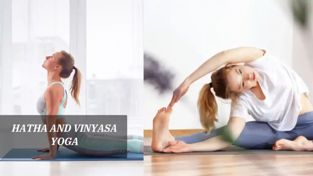 Hatha and Vinyasa Yoga